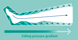 12-chamber-gradient-principle